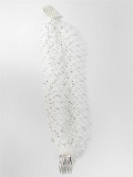 BB-76037-002-1