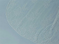 S477-280--1--SOFT-002-4