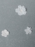S74527-350--2--GT-002-2